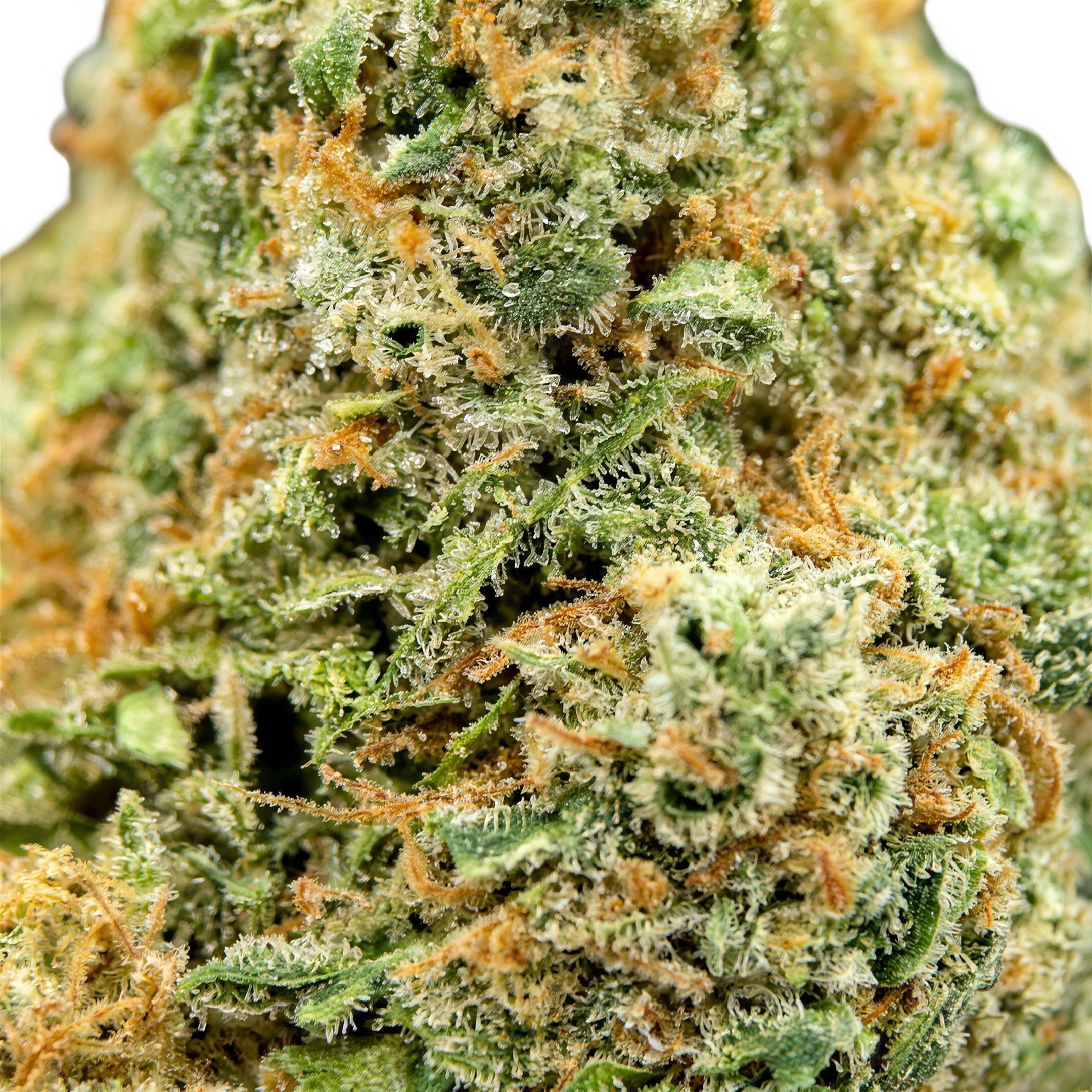Frosted Sunset THCA Blüten Makro – Trichome & Blütenstruktur | GLAZED®