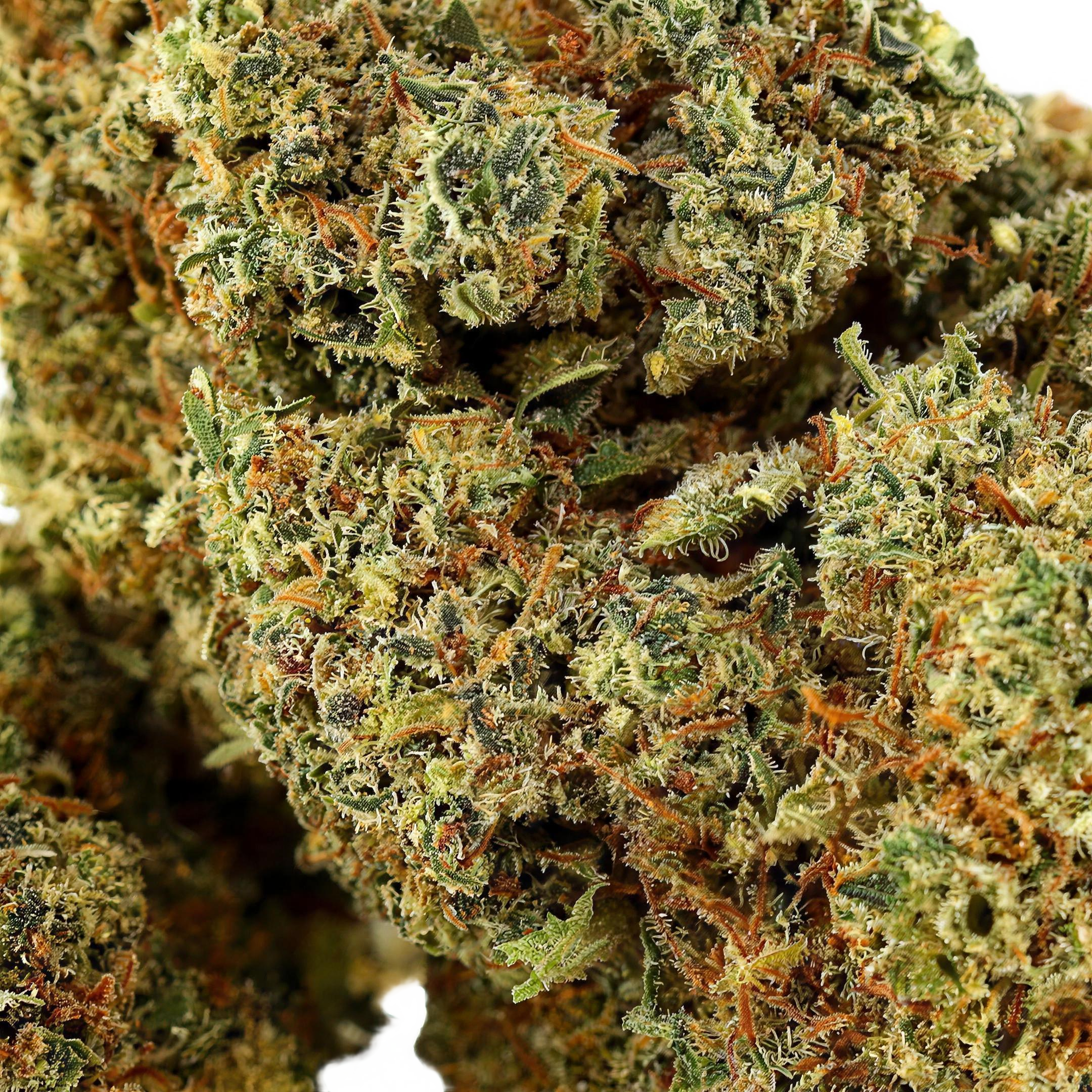 Amnesia OG THCA Blüten Makro – Trichome & Blütenstruktur | GLAZED®