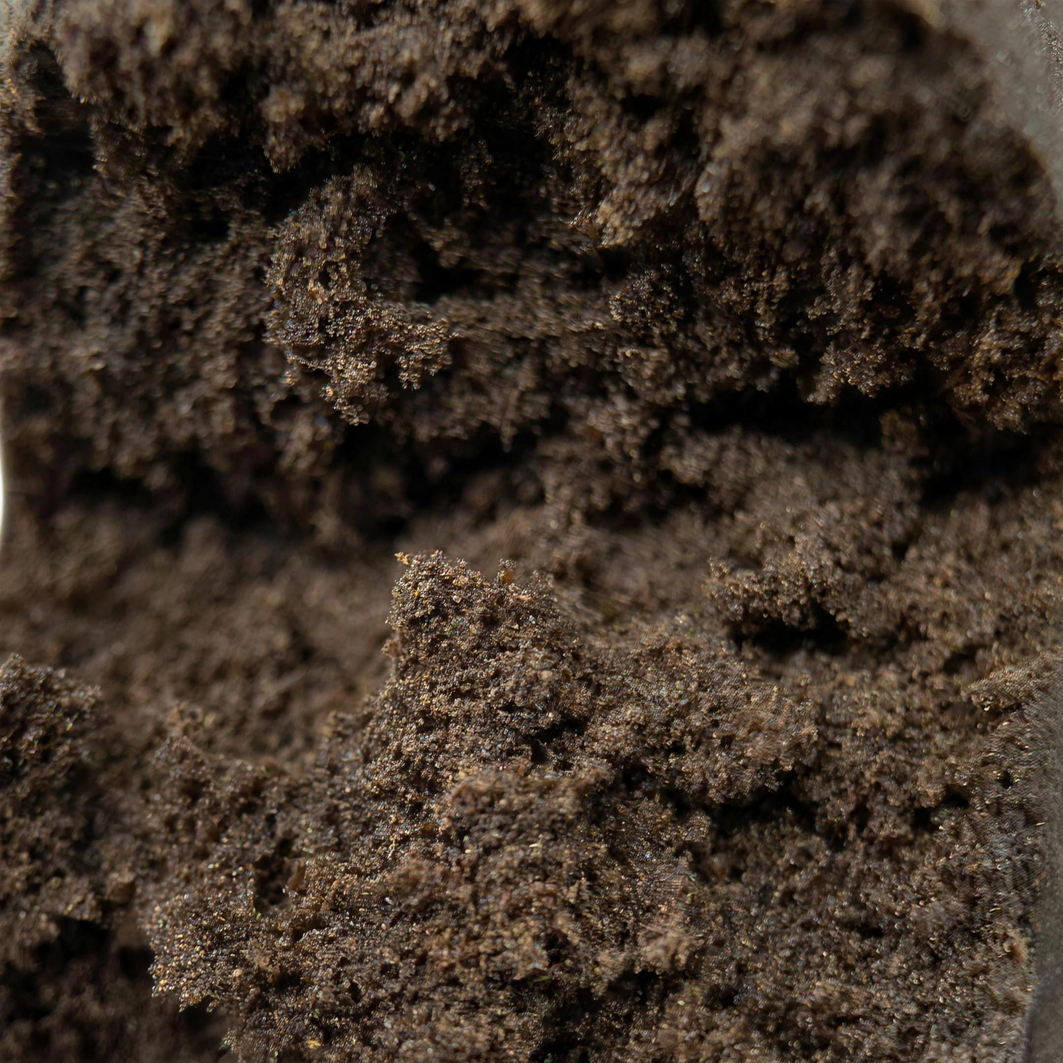 Afghan Kush THCA Hash Makro – Textur & Konsistenz | GLAZED®