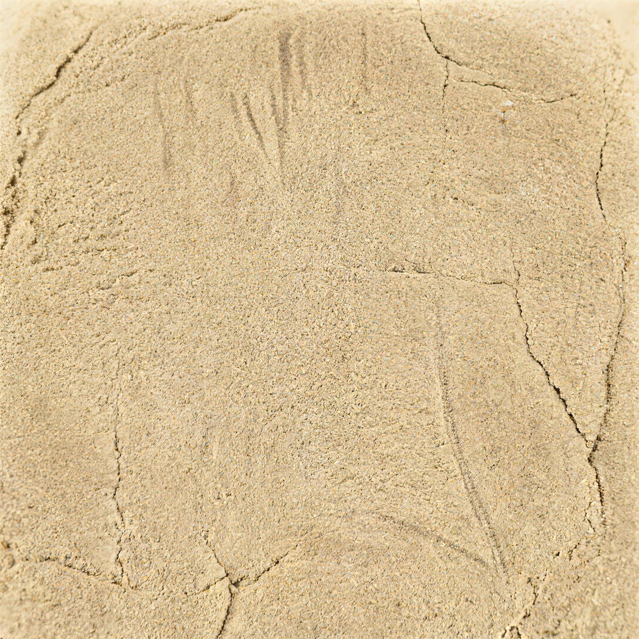 Kush Mintz THCA Hash Makro – Textur & Konsistenz | GLAZED®