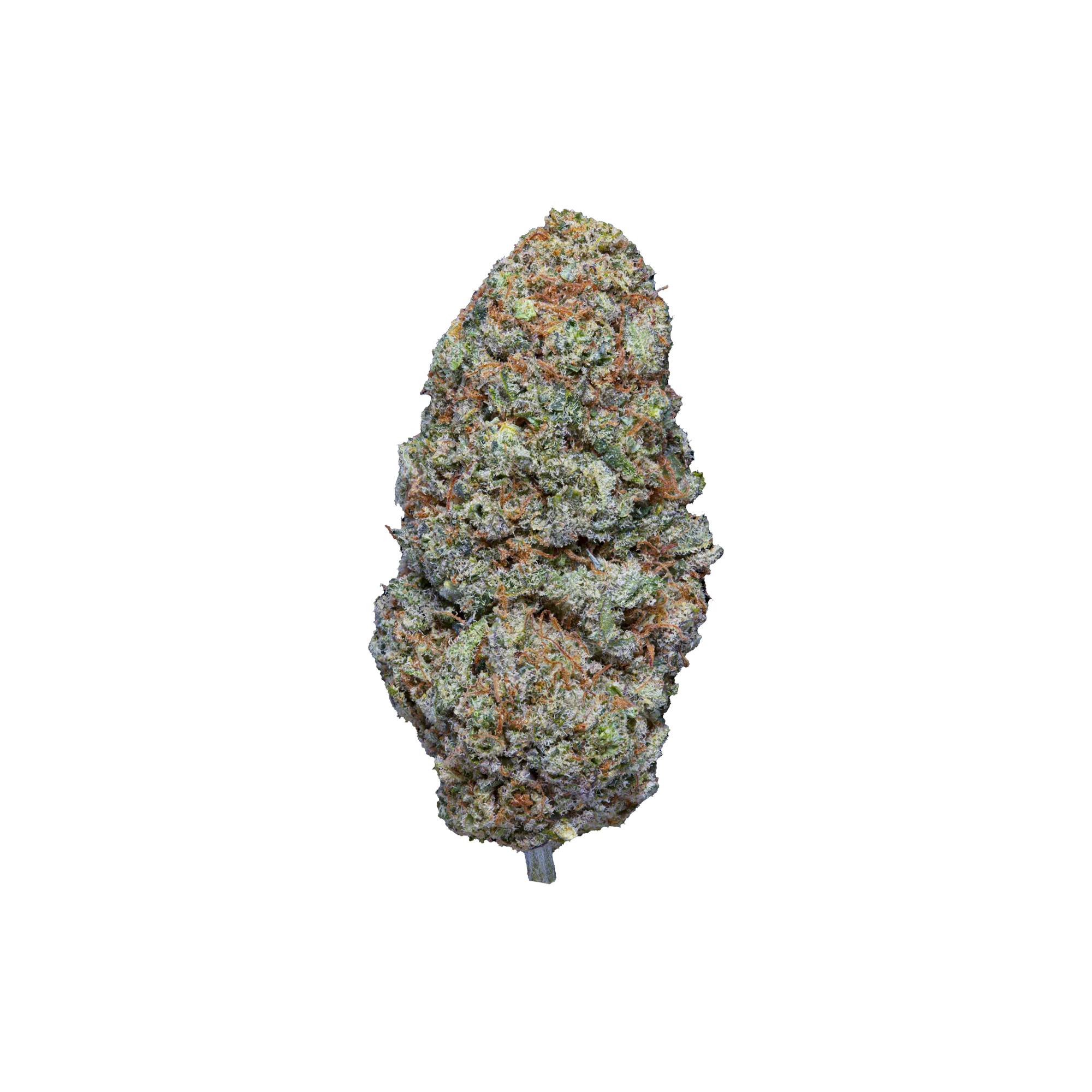 Jokerz THCA Blüten kaufen | GLAZED®