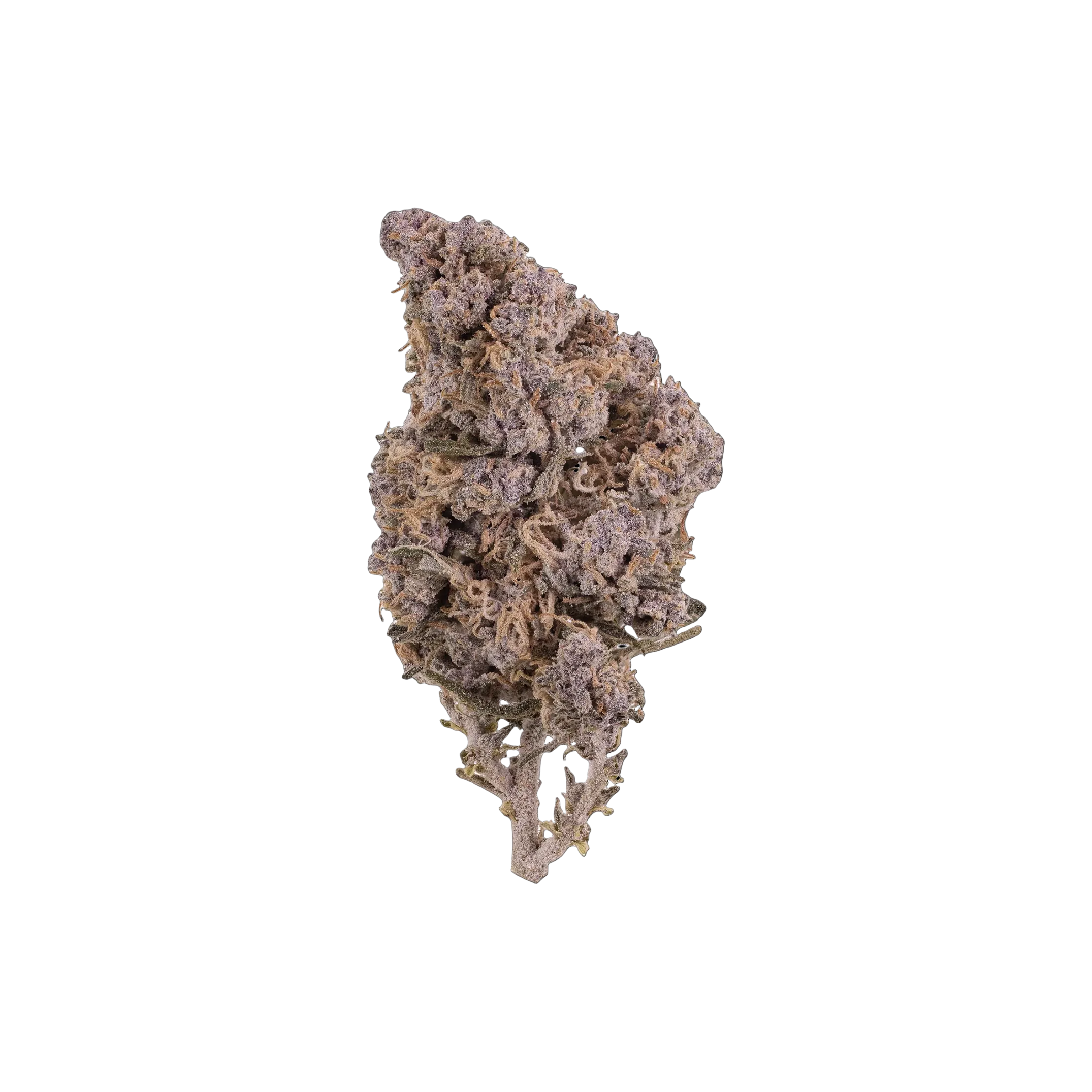Kitty THCA Blüten kaufen | GLAZED®