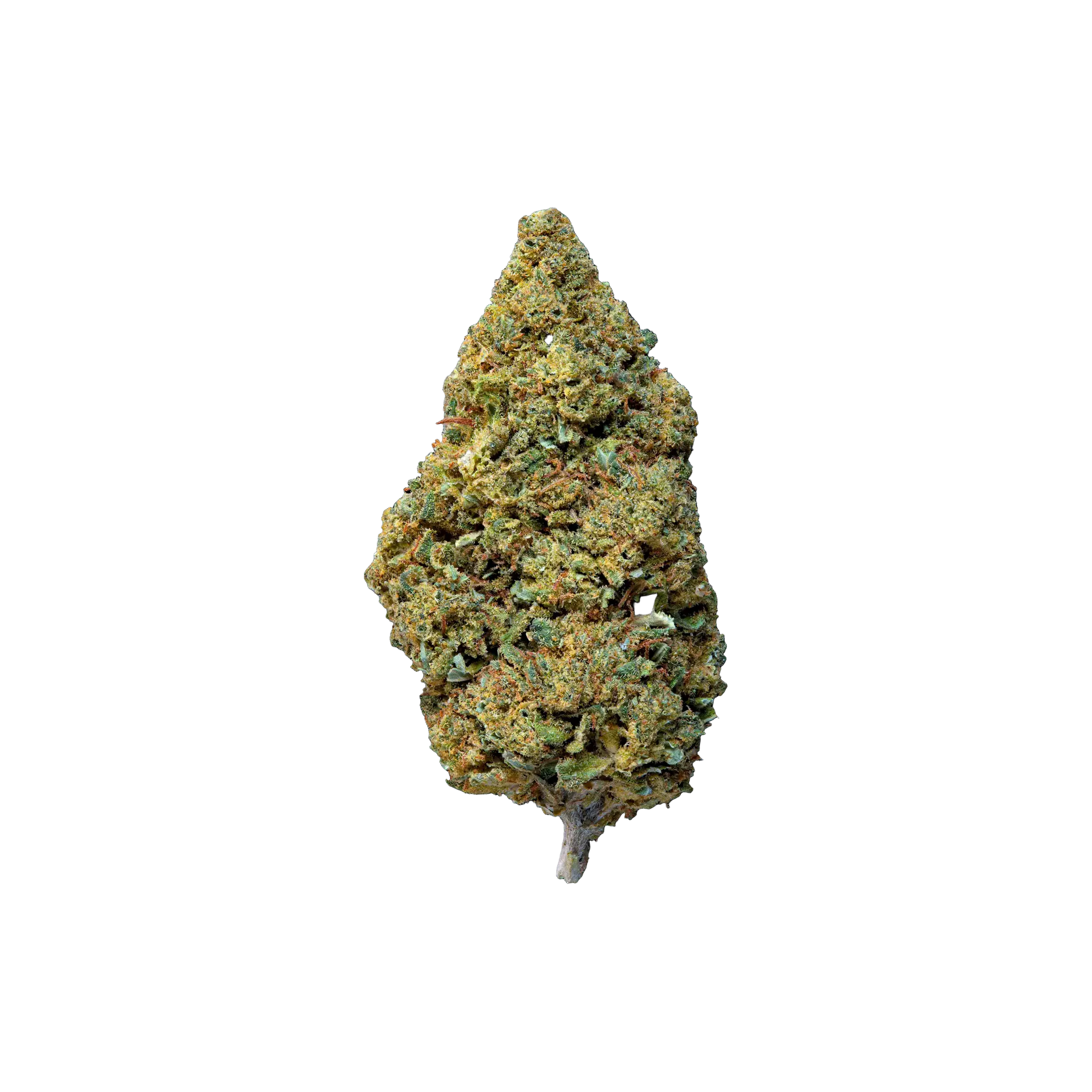 Lemon Haze THCA Blüten kaufen | GLAZED®