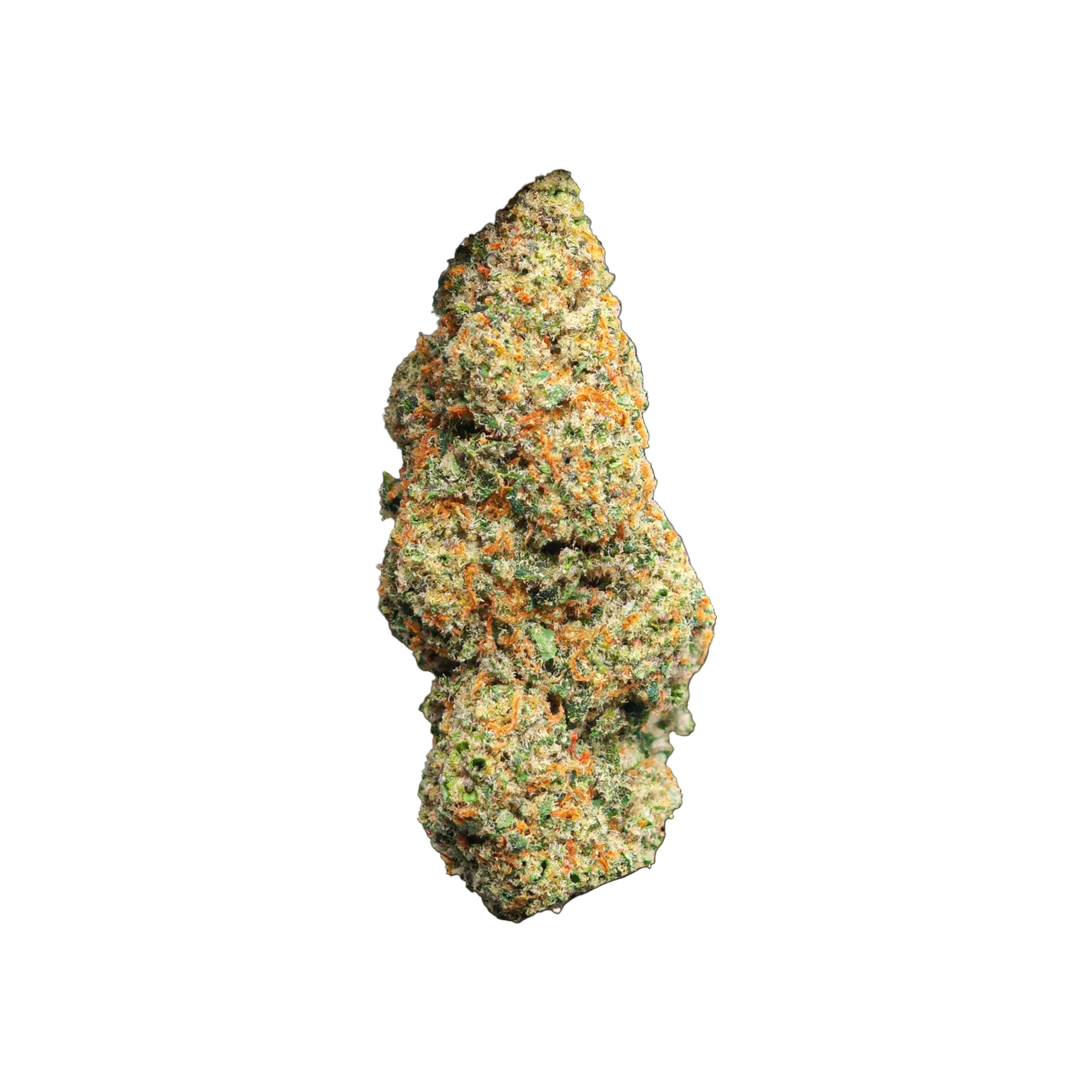 Orange Cheddar CBD Blüten kaufen | GLAZED®