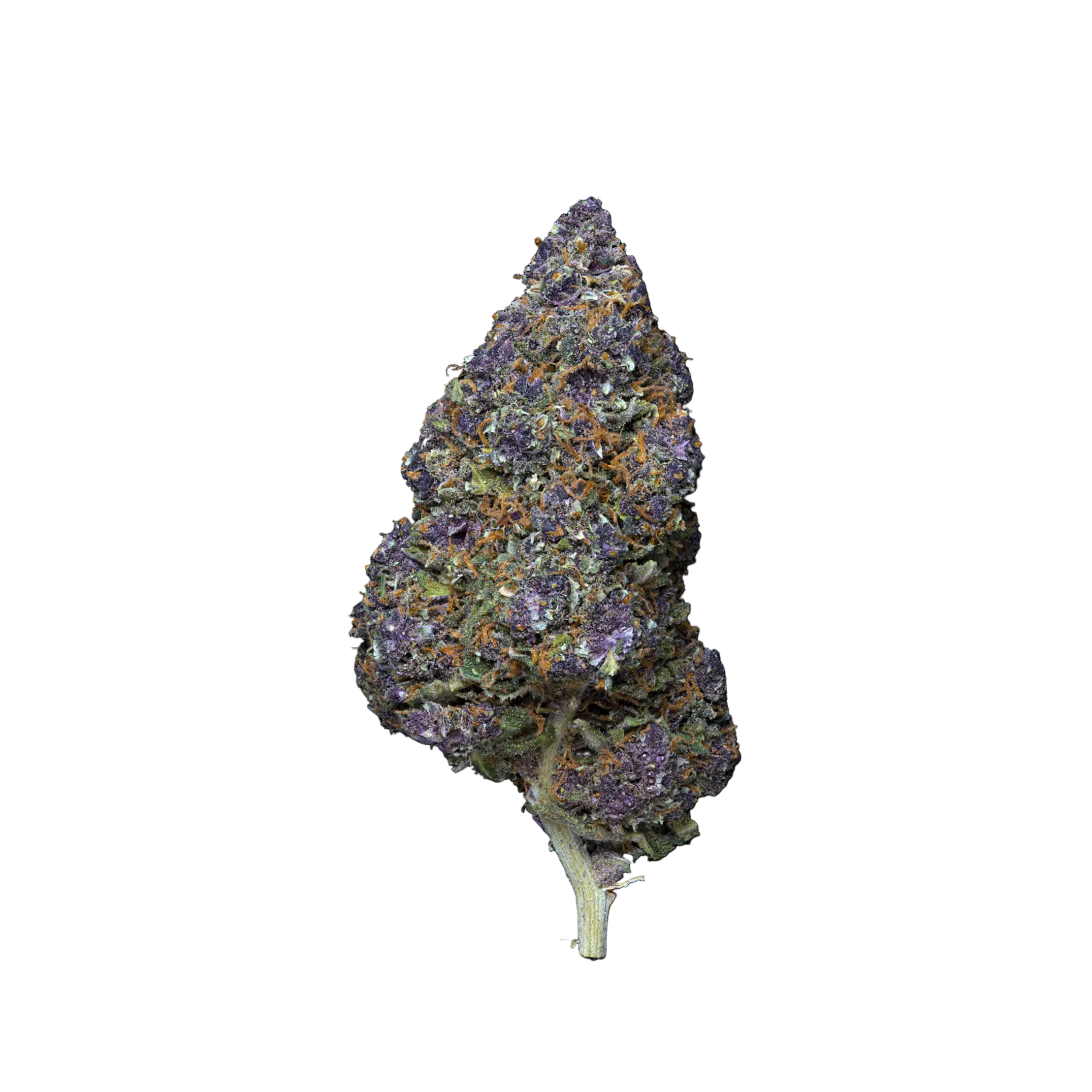 Purple Grape THCA Blüten kaufen | GLAZED®