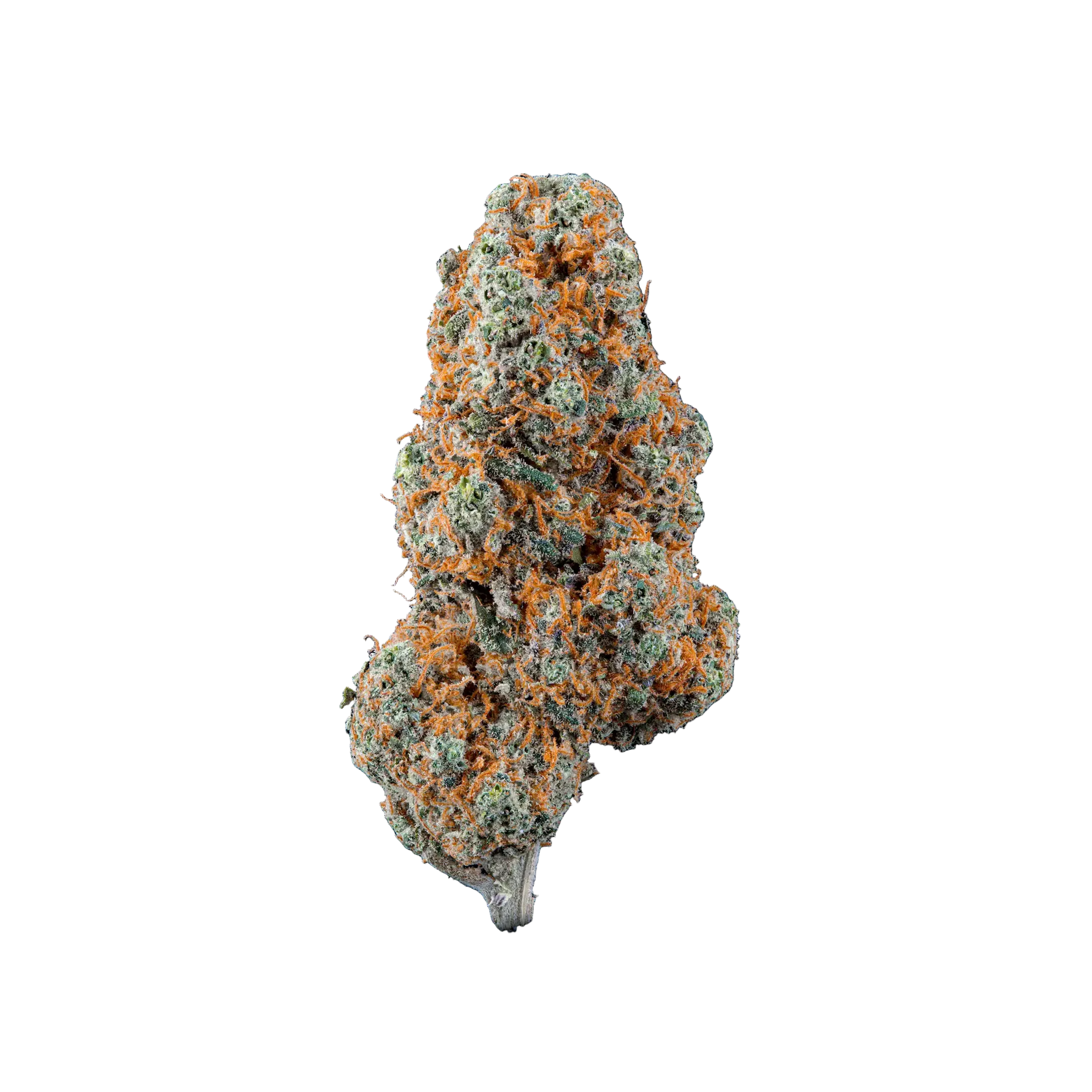 Raspberry Muffin THCA Blüten kaufen | GLAZED®