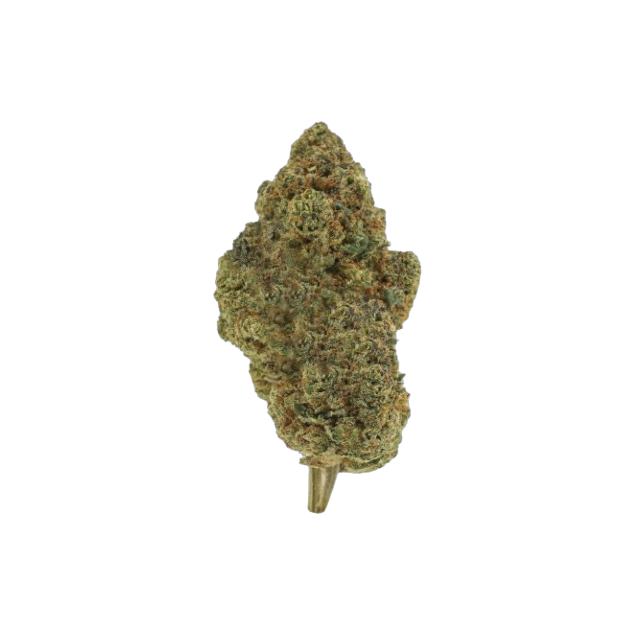 Sherblato THCA Blüten kaufen | GLAZED®