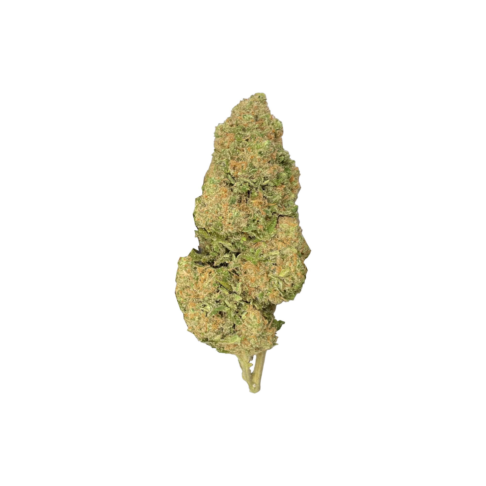 Sunset Sherbet THCA Blüten kaufen | GLAZED®