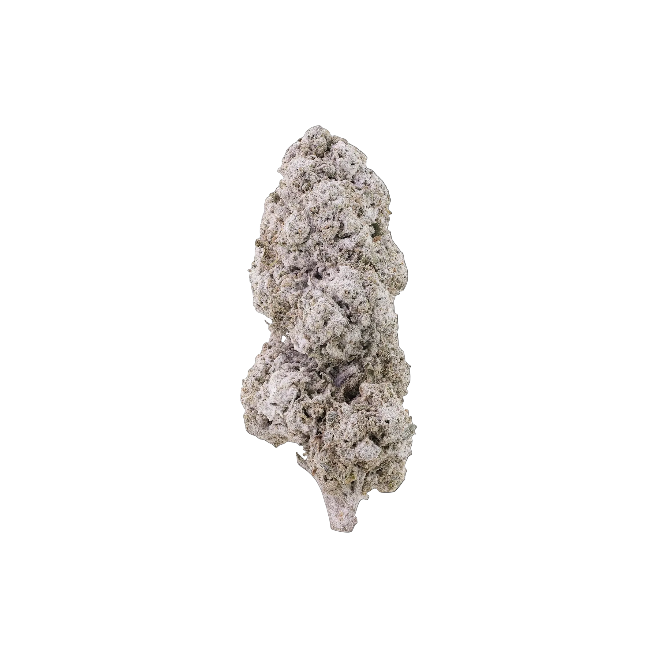 Blackberry Kush THCA Blüten kaufen | GLAZED®
